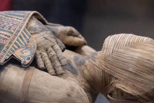 Egyptian,Mummy,Close,Up,Detail