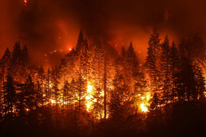 Eagle,Creek,Wildfire,In,Columbia,River,Gorge,,Or