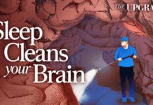 Your Brain Cleans Itself at Night—What Happens When You