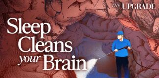 Your Brain Cleans Itself at Night—What Happens When You