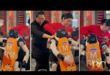 Robot Goes Berserk in Restaurant, Dragged Away by Staff
