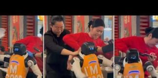 Robot Goes Berserk in Restaurant, Dragged Away by Staff