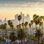 View of Los Angeles skyline with palm trees in the foreground during sunset