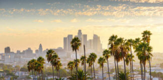 View of Los Angeles skyline with palm trees in the foreground during sunset