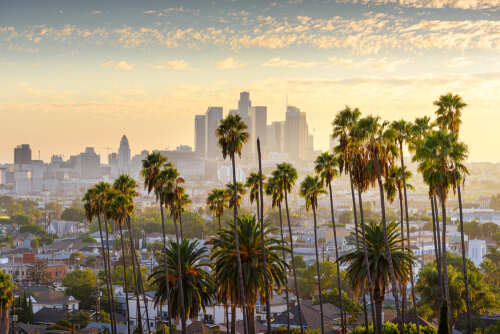 View of Los Angeles skyline with palm trees in the foreground during sunset