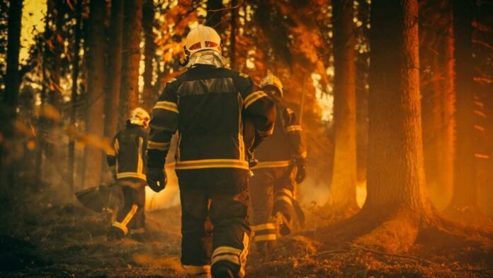 Firefighters walking through a smoky forest during a wildfire