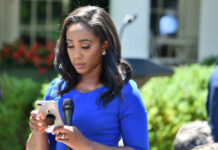 A journalist in a blue dress checking her smartphone at an outdoor press conference