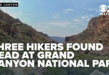 Three hikers die in separate heat-related incidents at Grand Canyon National Park
