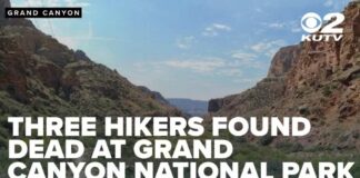 Three hikers die in separate heat-related incidents at Grand Canyon National Park