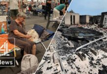 Record Wildfires Force Massive Evacuations Across France France wildfires: Country battles worst crisis since World War Two
