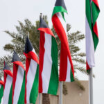 Multiple flags waving in the wind with palm trees in the background