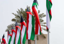 Multiple flags waving in the wind with palm trees in the background