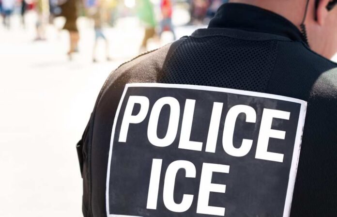 Ice,Police,Agent,-,Officer,Of,Immigration,And,Customs,Enforcement. Close-up of a police officer's back with a 'POLICE ICE' badge