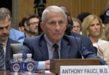 Fauci’s Silence Sparks New Senate Battle Dr. Anthony Fauci Pleads The 5th Over 100 Times During Covid-19 Hearing