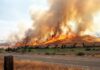 Human-Caused Blaze Sends Thousands Fleeing Reno 🚨 Reno Hawk Fire Forces 90,000 To Flee — Was It Arson? Nevada Declares Emergency
