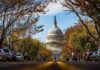 D.C.’s Crime Numbers Are Turning Some Heads United States Capitol dome framed by a tree-lined street
