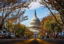 United States Capitol dome framed by a tree-lined street