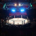 Octagon Panic: Main Eventer Drops MMA octagon cage under arena lights