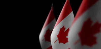 Canadian flags with maple leaf on dark background