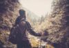 A hiker standing in a forest, looking at a scenic view of mountains and trees
