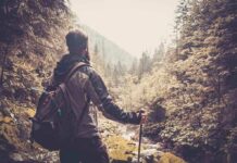 A hiker standing in a forest, looking at a scenic view of mountains and trees