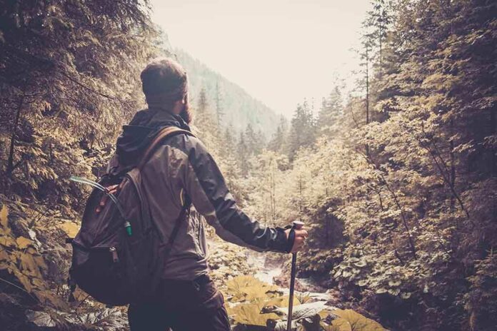 shutterstock_212870275 A hiker standing in a forest, looking at a scenic view of mountains and trees