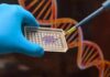 Gloved hand holding microplate while pipette dispenses purple sample