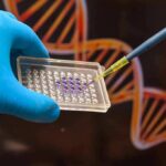 Gloved hand holding microplate while pipette dispenses purple sample