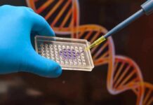Gloved hand holding microplate while pipette dispenses purple sample