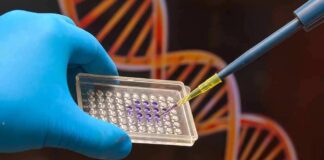 Gloved hand holding microplate while pipette dispenses purple sample